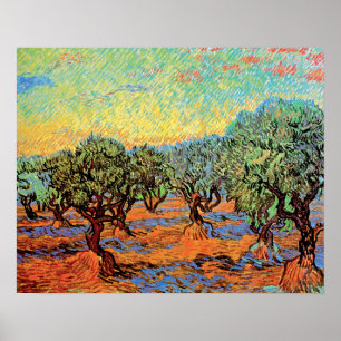 Vincent Van Gogh - Olive Grove mit Orange Sky Poster