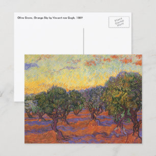 Vincent van Gogh - Olive Grove, Orange Sky Postkarte