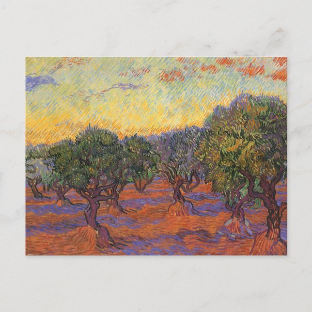 Vincent van Gogh - Olive Grove, Orange Sky Postkarte (Vorderseite)
