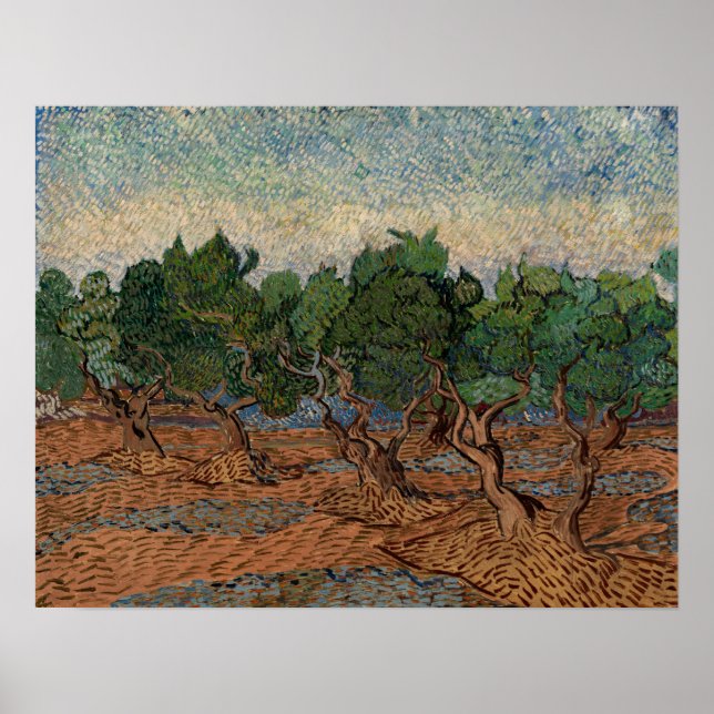 Vincent van Gogh - Olive Grove Poster (Vorne)