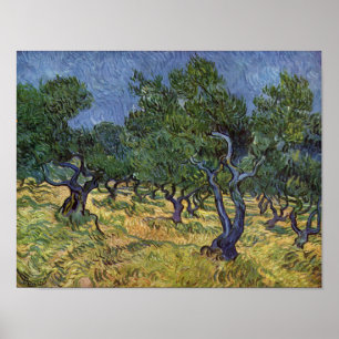 Vincent van Gogh - Olive Grove Poster