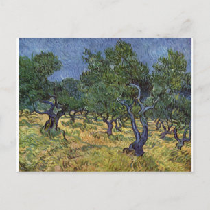 Vincent van Gogh - Olive Grove Postkarte