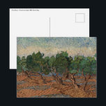 Vincent van Gogh - Olive Grove Postkarte<br><div class="desc">Olive Grove - Vincent van Gogh,  1889,  Saint-Remy</div>