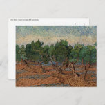 Vincent van Gogh - Olive Grove Postkarte<br><div class="desc">Olive Grove - Vincent van Gogh,  1889,  Saint-Remy</div>