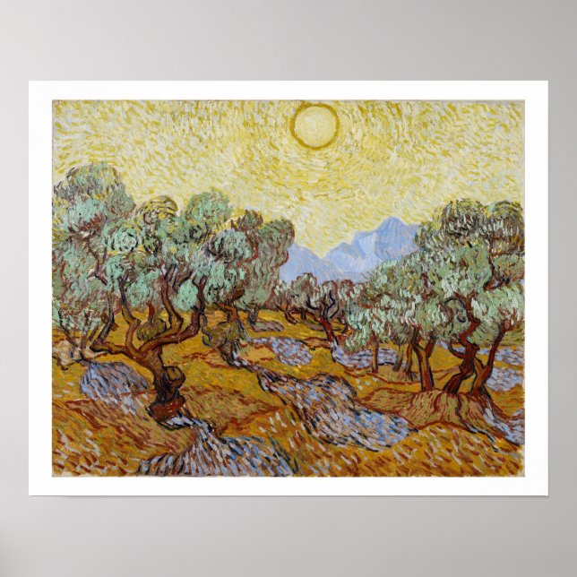 Vincent van Gogh Olive Trees, 1889 Poster (Vorne)