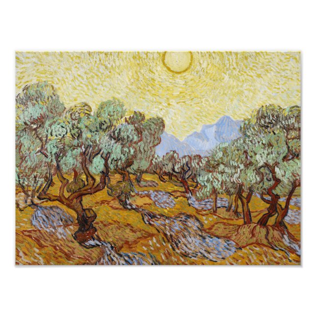 Vincent van Gogh - Olivenbäume Fotodruck (Vorne)
