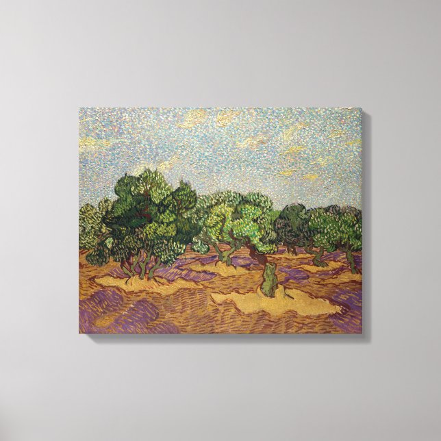 Vincent van Gogh - Olivenbäume Leinwanddruck (Vorderseite)