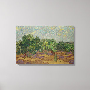 Vincent van Gogh - Olivenbäume Leinwanddruck