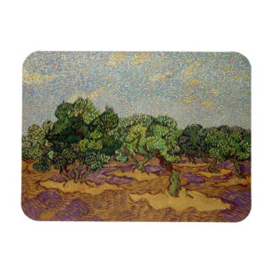 Vincent van Gogh - Olivenbäume Magnet