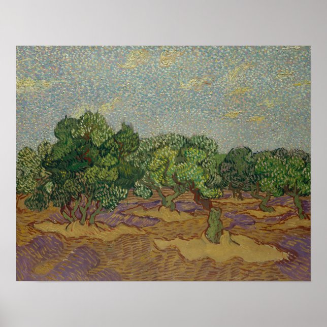 Vincent van Gogh - Olivenbäume Poster (Vorne)