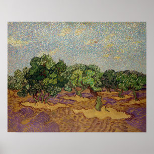 Vincent van Gogh - Olivenbäume Poster