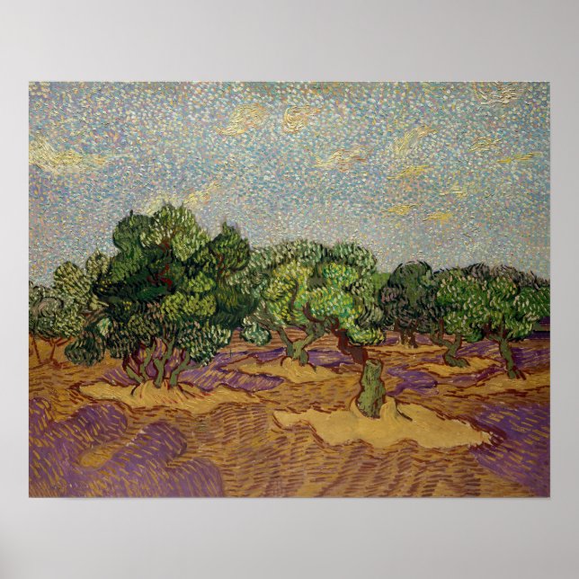 Vincent van Gogh - Olivenbäume Poster (Vorne)