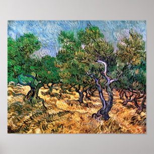 Vincent Van Gogh - Olivenhain Fine Art Poster