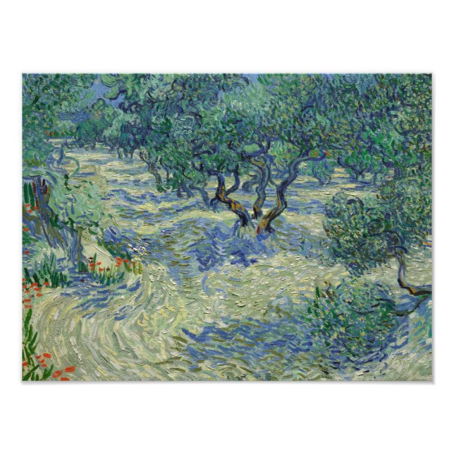Vincent van Gogh - Olivenhain Fotodruck (Vorne)
