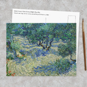 Vincent van Gogh - Olivenhain: Helles Blaues Himme Postkarte