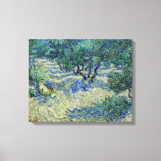 Vincent van Gogh - Olivenhain Leinwanddruck (Vorderseite)