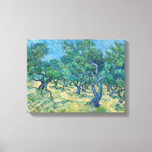 Vincent van Gogh - Olivenhain Leinwanddruck