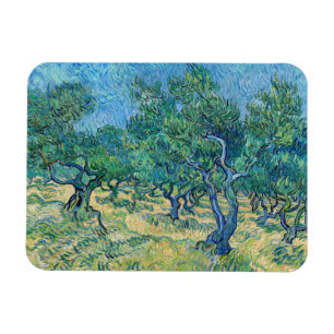 Vincent van Gogh - Olivenhain Magnet