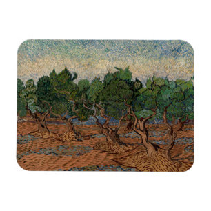 Vincent van Gogh - Olivenhain Magnet
