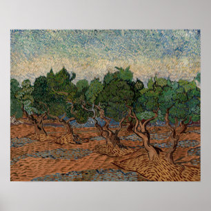 Vincent van Gogh - Olivenhain Poster