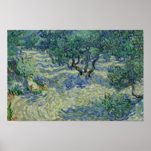 Vincent van Gogh - Olivenhain Poster