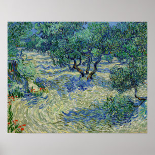 Vincent van Gogh - Olivenhain Poster