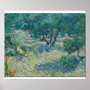 Vincent Van Gogh - Olivenhain Poster