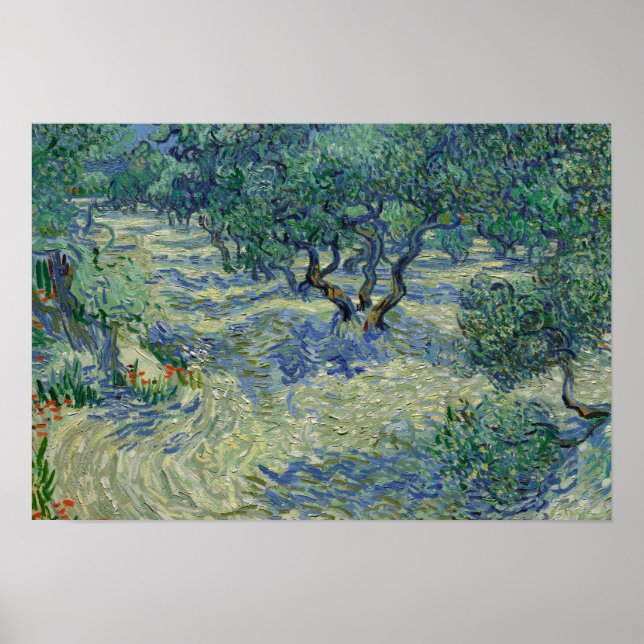 Vincent van Gogh - Olivenhain Poster (Vorne)