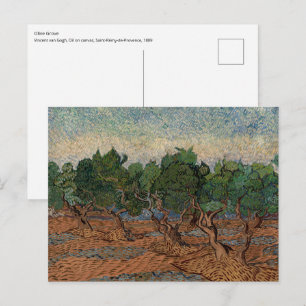 Vincent van Gogh - Olivenhain Postkarte