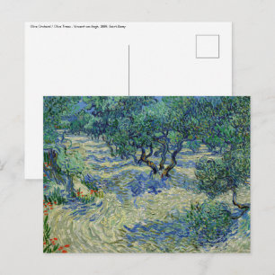 Vincent van Gogh - Olivenhain Postkarte