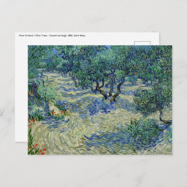 Vincent van Gogh - Olivenhain Postkarte (Vorne/Hinten)