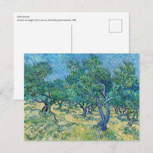 Vincent van Gogh - Olivenhain Postkarte