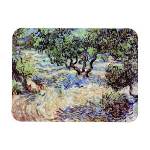 Vincent Van Gogh - Olivenweg Magnet