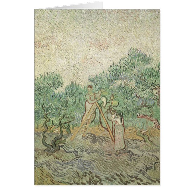 Vincent van Gogh - Ölpflücken (Vorne)