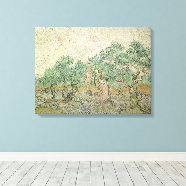 Vincent van Gogh - Ölpflücken Leinwanddruck (Insitu (Holzboden))