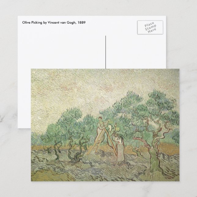 Vincent van Gogh - Ölpflücken Postkarte (Vorne/Hinten)