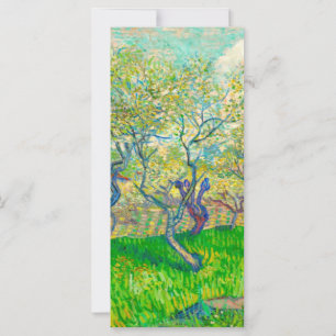 Vincent van Gogh Orchard, Schweiz