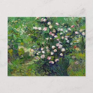 Vincent van Gogh Rose Postkarte
