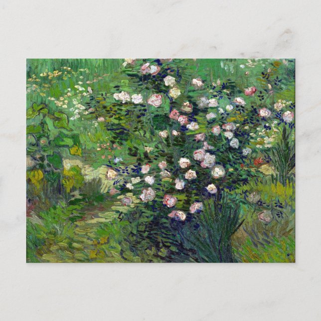 Vincent van Gogh Rose Postkarte (Vorderseite)