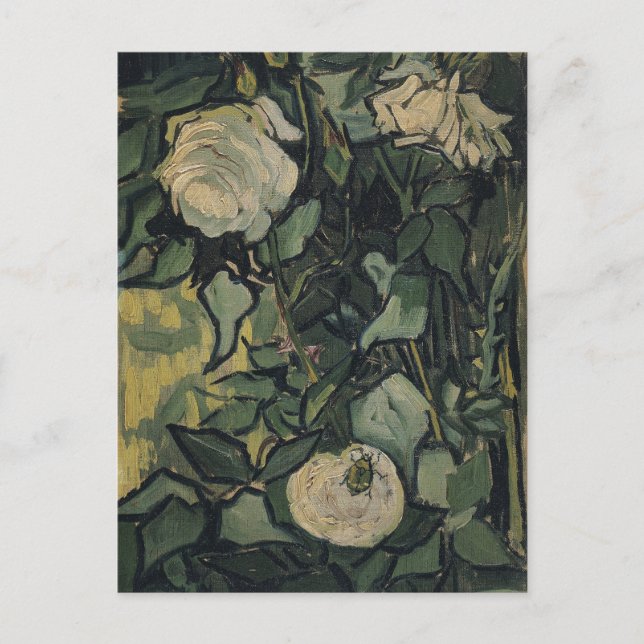 Vincent van Gogh - Rose und Käfer Postkarte (Vorderseite)