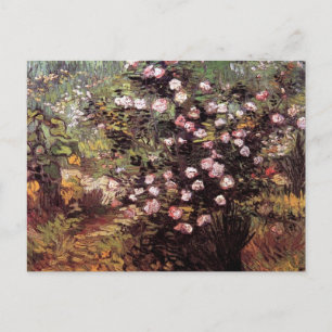 Vincent Van Gogh - Rosenbusch in Blüte Kunstwerk Postkarte