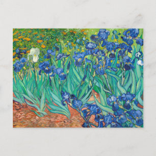 Vincent Van Gogh Schwertlilien Floral Vintage Kuns Postkarte