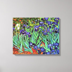 Vincent Van Gogh - Schwertlilien - Flower Lover Fi Leinwanddruck