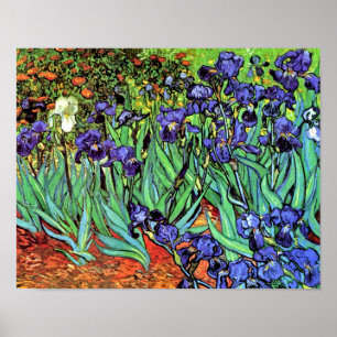 Vincent Van Gogh - Schwertlilien - Flower Lover Fi Poster
