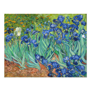 Vincent Van Gogh - Schwertlilien Fotodruck