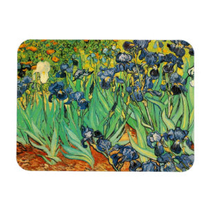 Vincent van Gogh,Schwertlilien Magnet