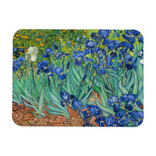 Vincent Van Gogh - Schwertlilien Magnet
