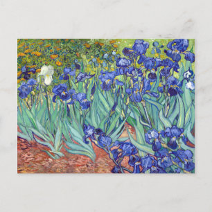 Vincent van Gogh Schwertlilien Postkarte