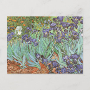 Vincent van Gogh - Schwertlilien Postkarte