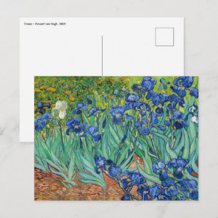 Vincent Van Gogh - Schwertlilien Postkarte